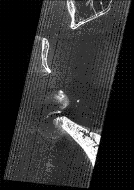 Shallow underwater topography construction method integrating hyper-spectral data and sparse sonar data