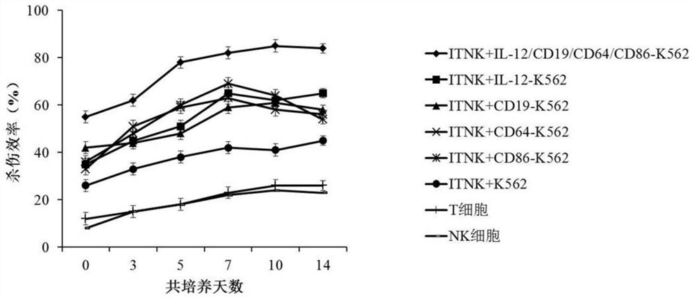 Induced T-to-natural killer feeder cell as well as preparation method and application thereof