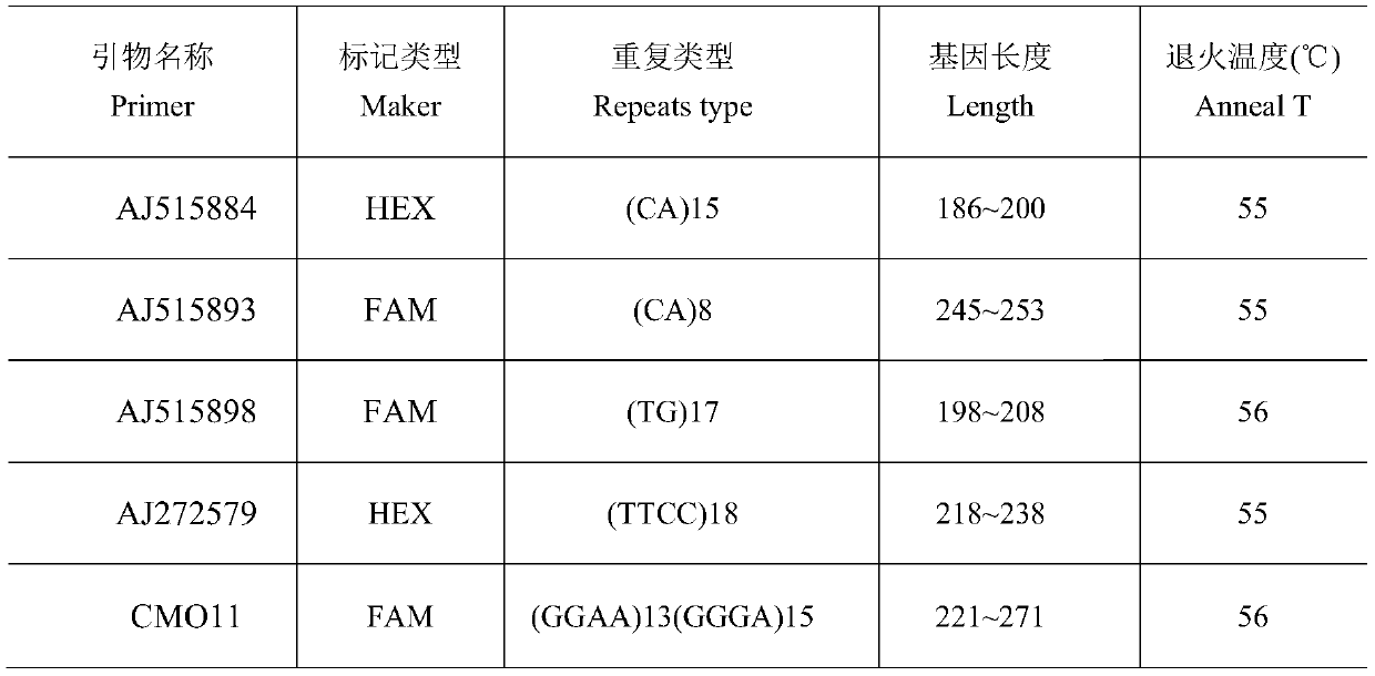 Runzhou crested white duck variety identification method