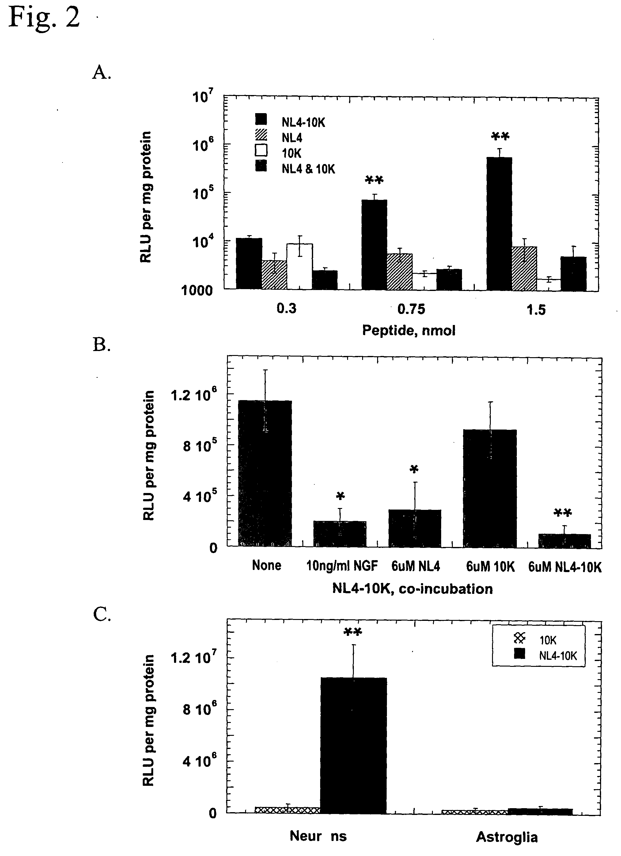 Recombinant polypeptide useful for neurotrophin receptor mediated gene delivery and as neurotrophin agonist