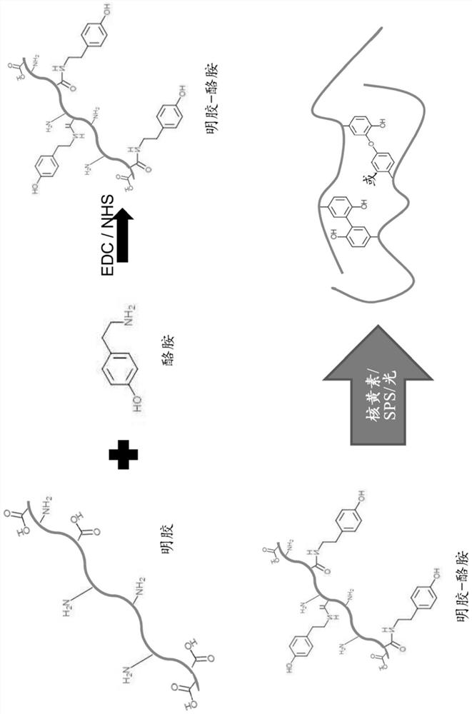 Hydrogel for in-vivo release of medication