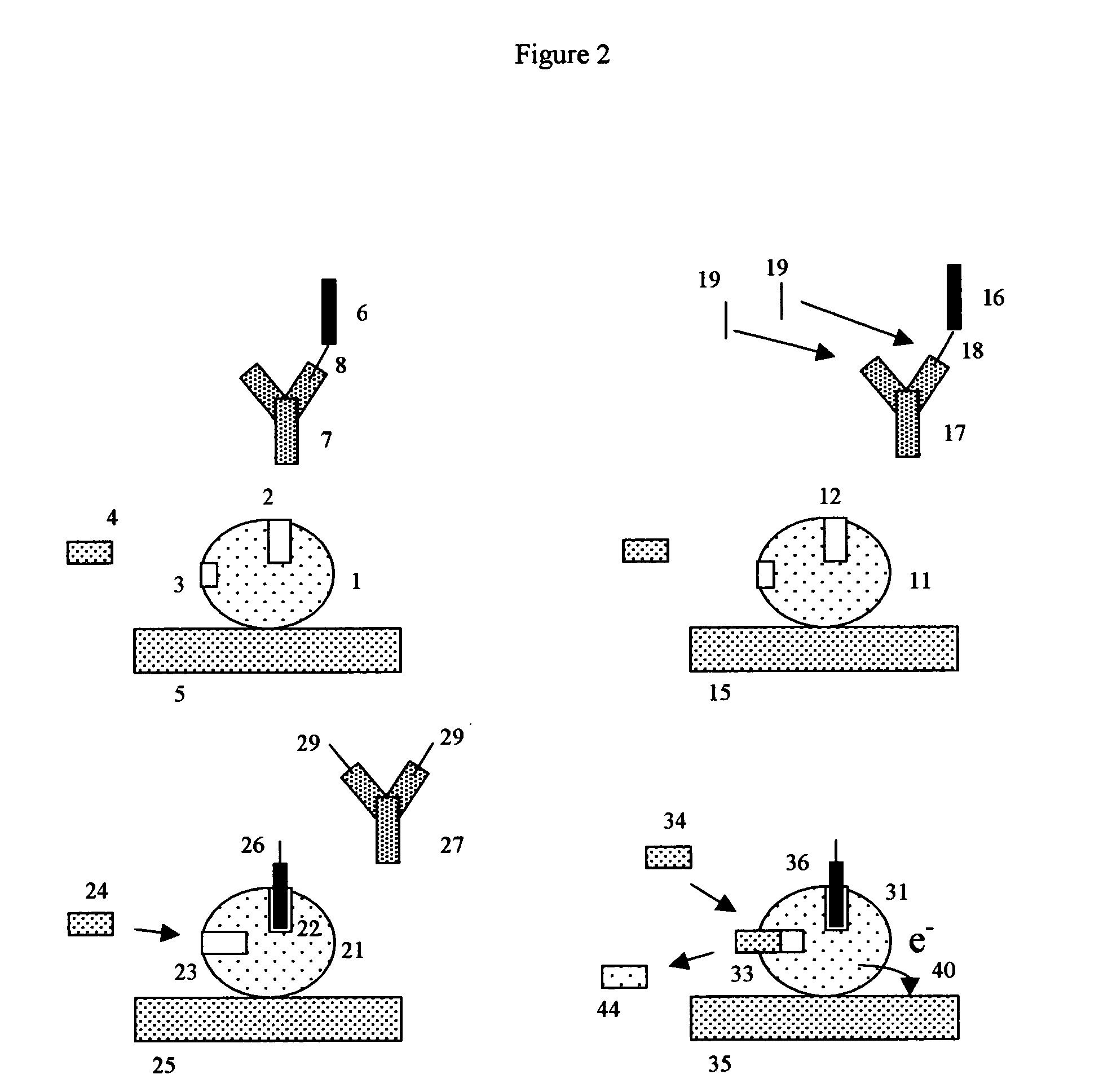 Apoenzyme reactivation electrochemical detection method and assay