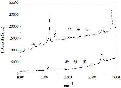 Device and method for transferring CVD grown graphene