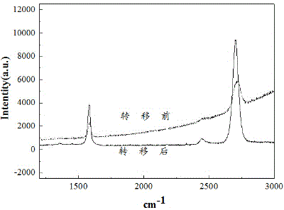 Device and method for transferring CVD grown graphene