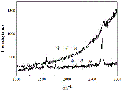 Device and method for transferring CVD grown graphene