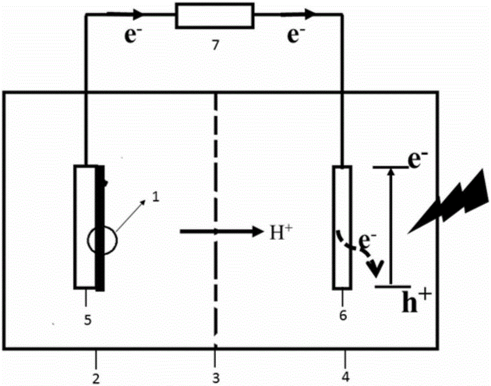 Photo-assisted microorganism fuel battery