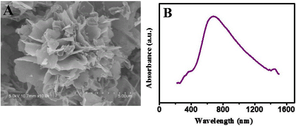 Photo-assisted microorganism fuel battery