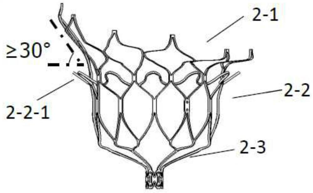 Mitral valve device and use method