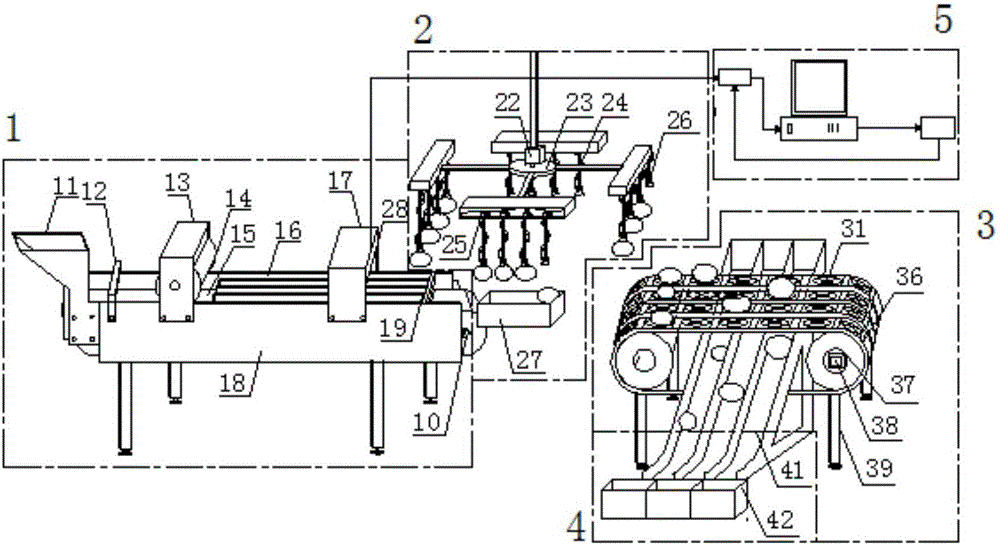 Citrus quality on-line conveying and size grading equipment