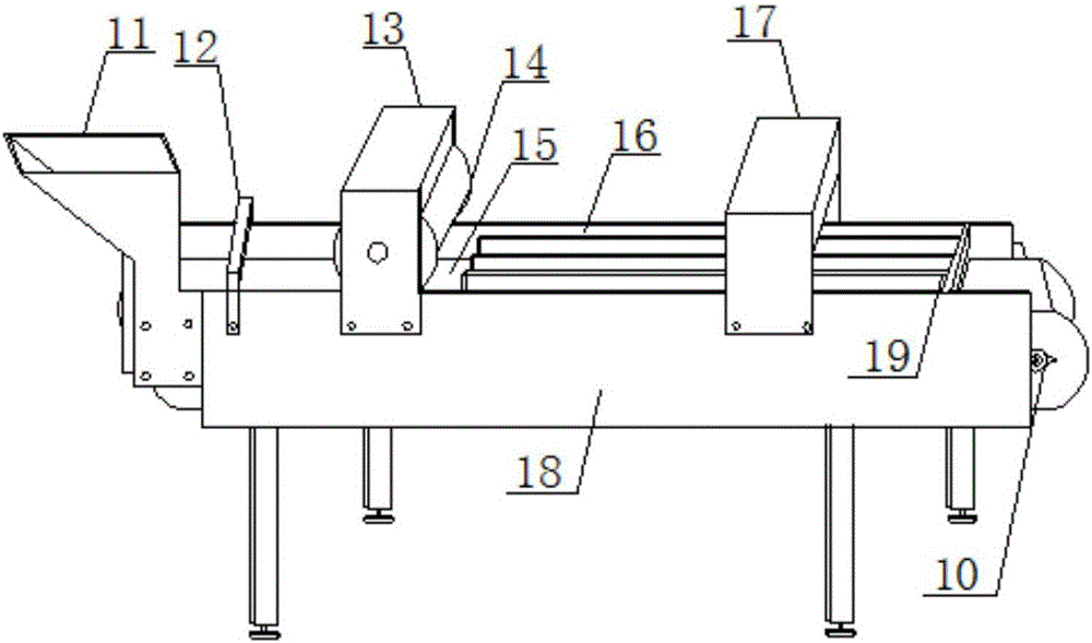 Citrus quality on-line conveying and size grading equipment