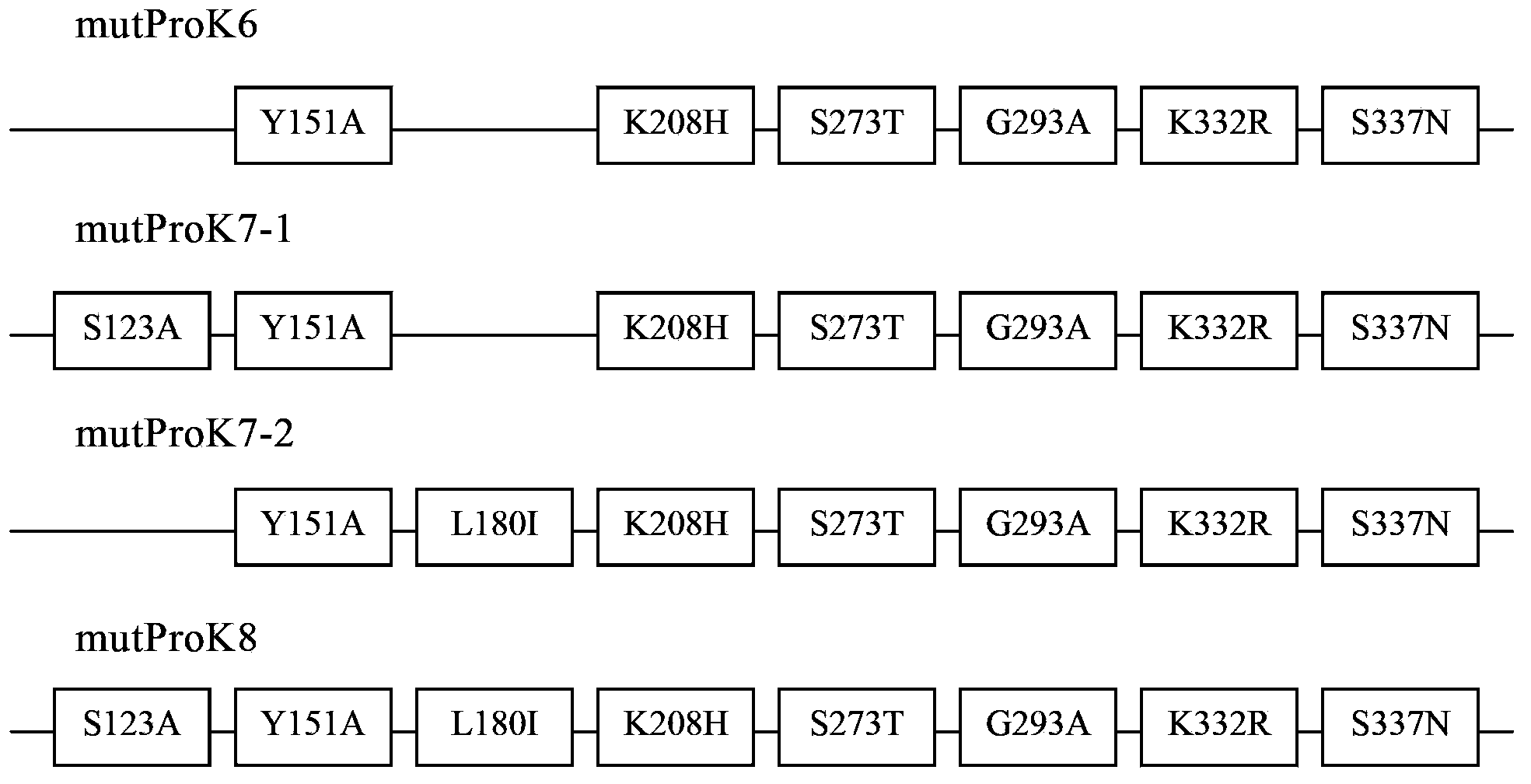 Gene mutation type recombined protease K and industrialized production method thereof