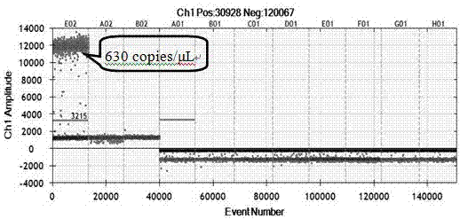 Primer probe, kit and method for accurate and quantitative detection of specific gene component of transgenic rice M12 line