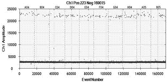 Primer probe, kit and method for accurate and quantitative detection of specific gene component of transgenic rice M12 line