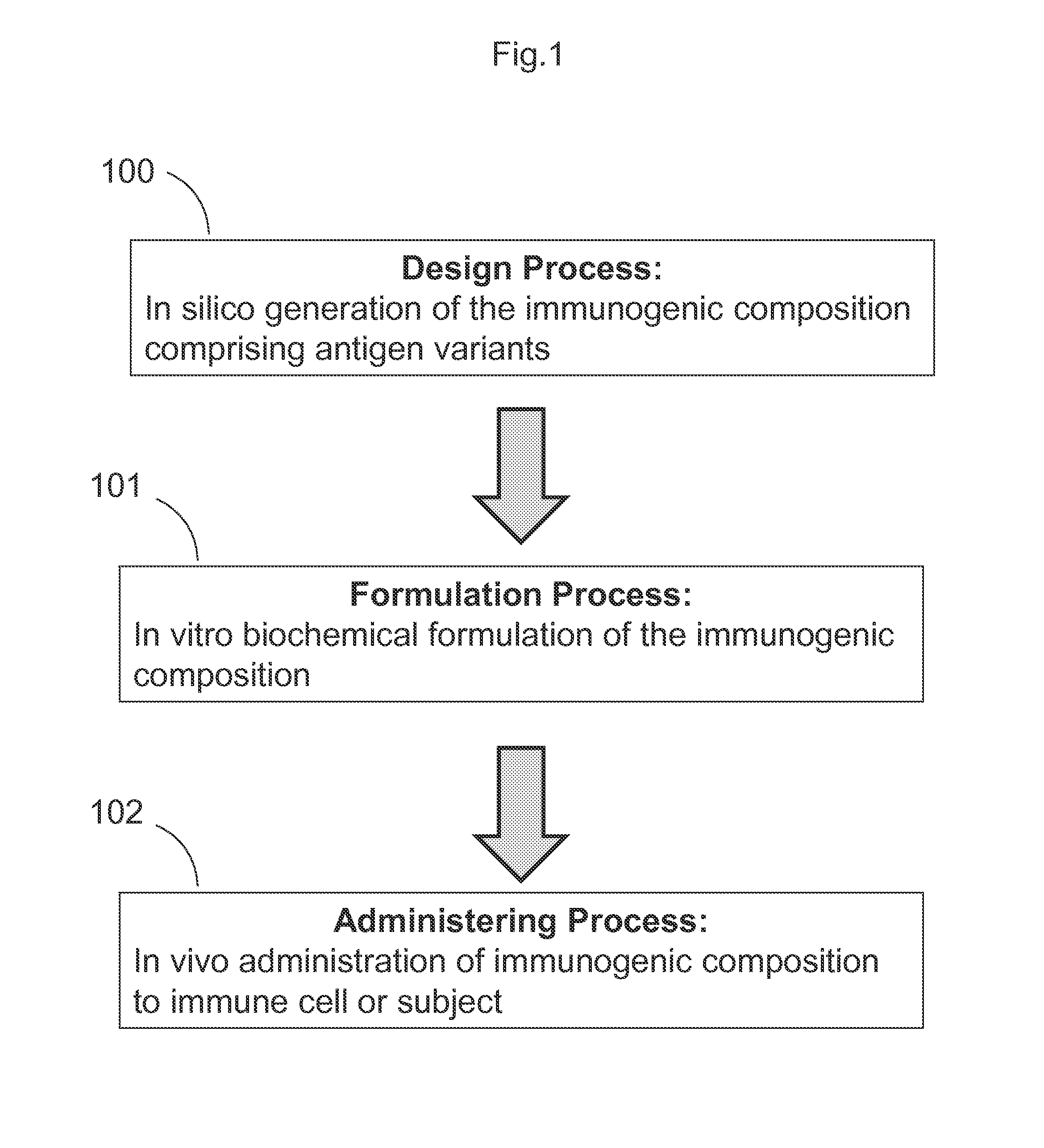 Epitope focusing by variable effective antigen surface concentration