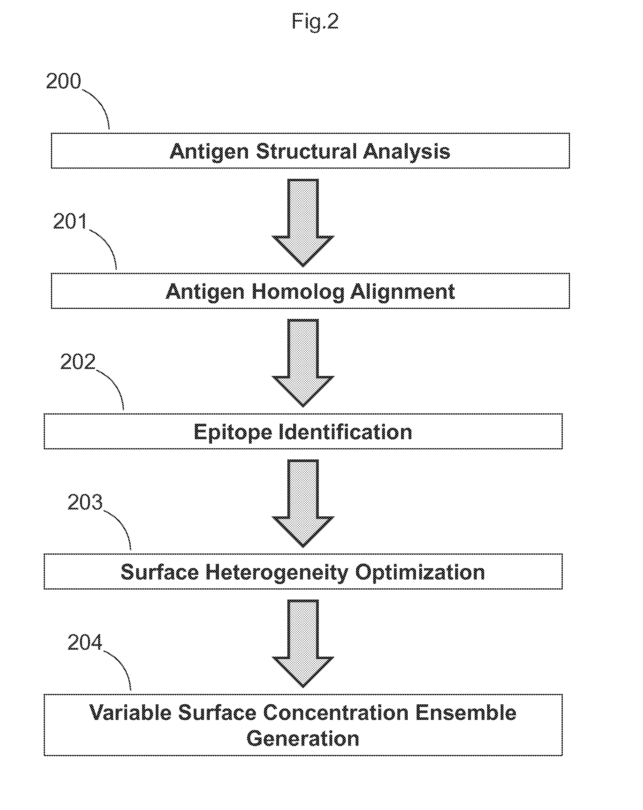 Epitope focusing by variable effective antigen surface concentration