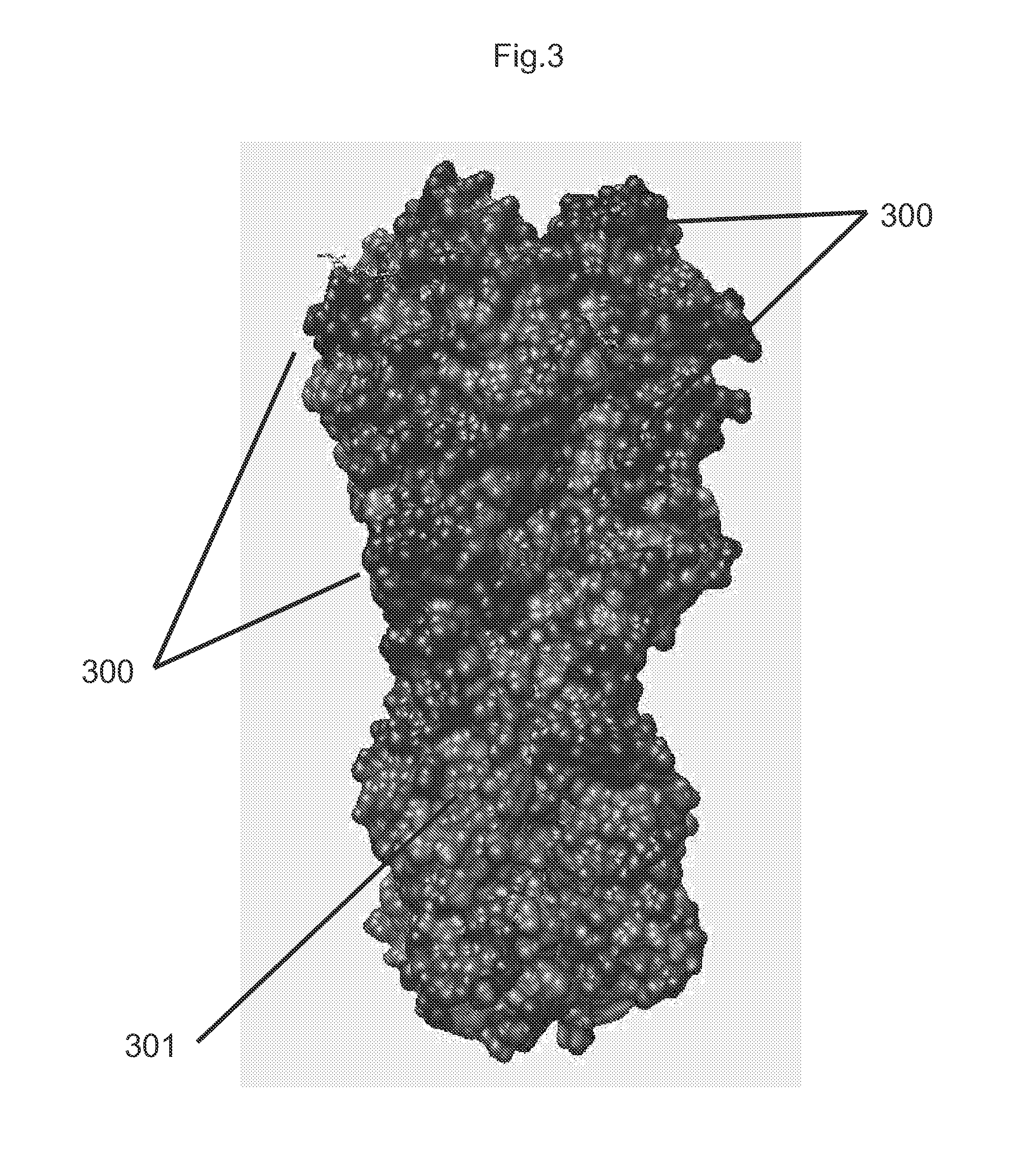 Epitope focusing by variable effective antigen surface concentration