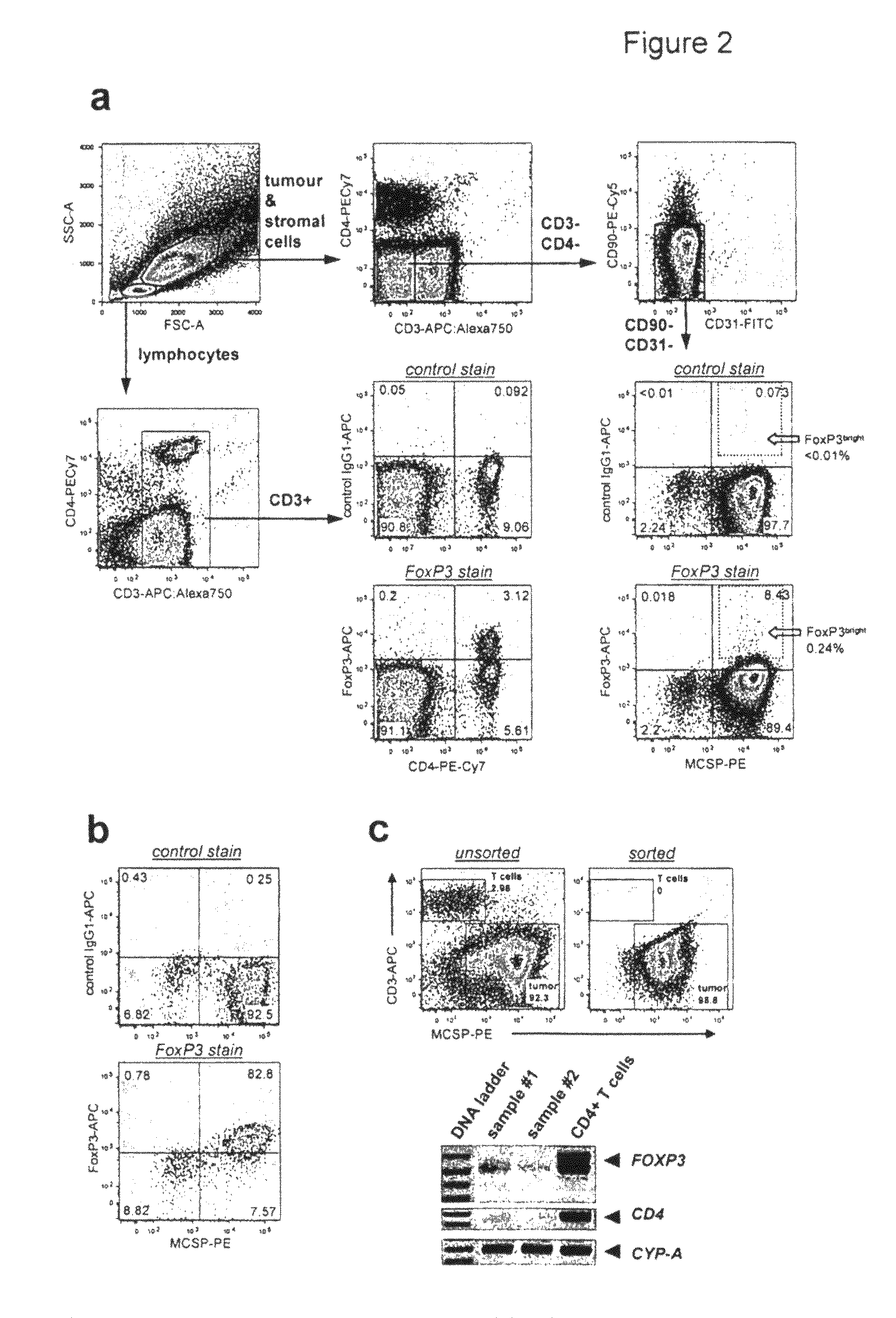 Expression of FoxP3 by cancer cells