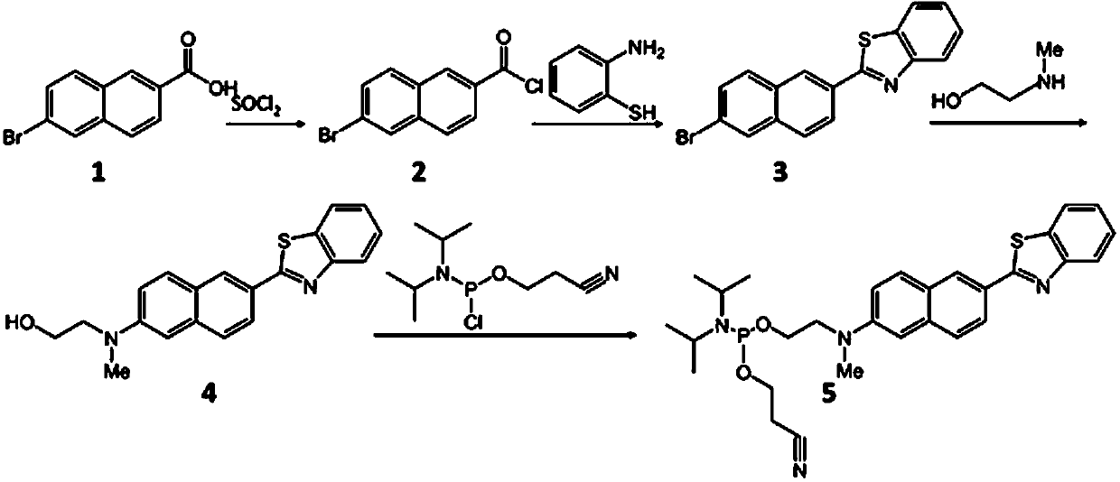 Preparation method and application of two-photon deoxyribozyme metal organic framework probe