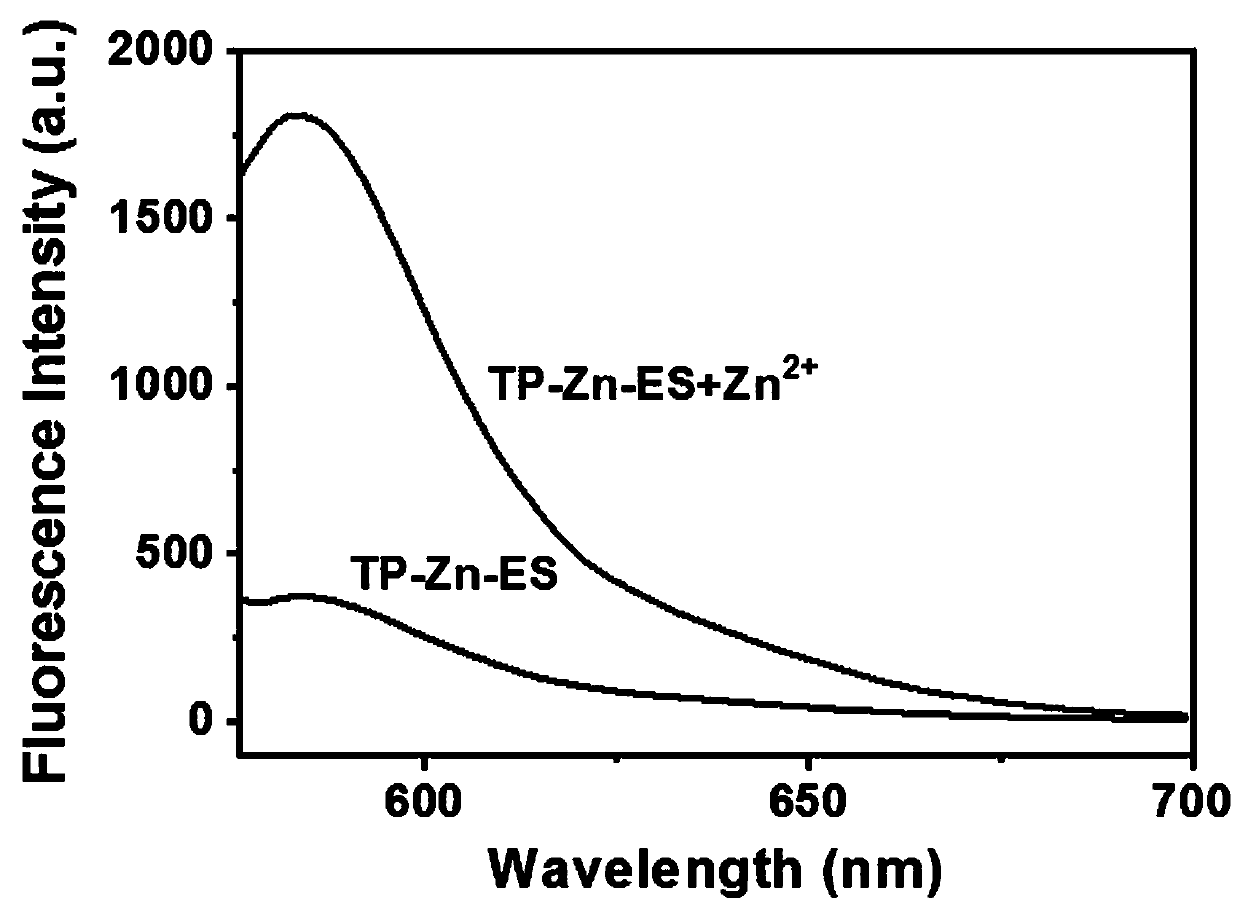 Preparation method and application of two-photon deoxyribozyme metal organic framework probe