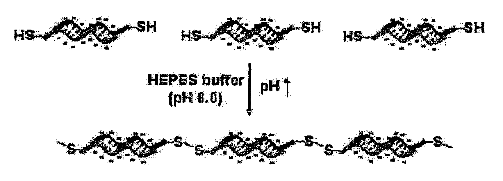 Method for polymerizing a small oligonucleotide, and use of a high-molecular oligonucleotide prepared by the polymerization method