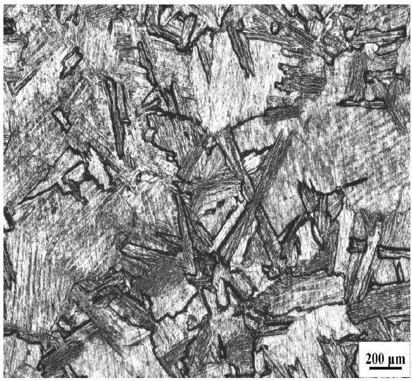 Processing method for crystal patterns of titanium product