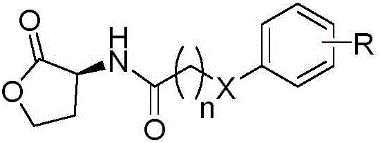 Benzene ring substituted N-acyl homoserine lactone compounds as well as preparation method and application thereof