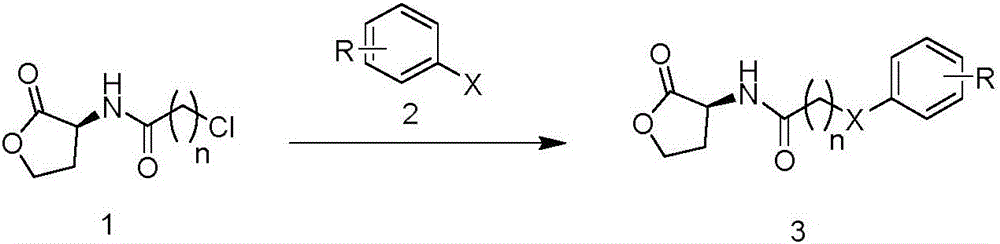 Benzene ring substituted N-acyl homoserine lactone compounds as well as preparation method and application thereof