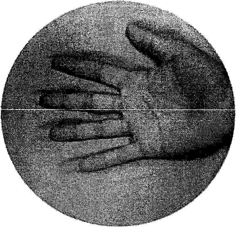 Acquisition device and processing method of palm print image