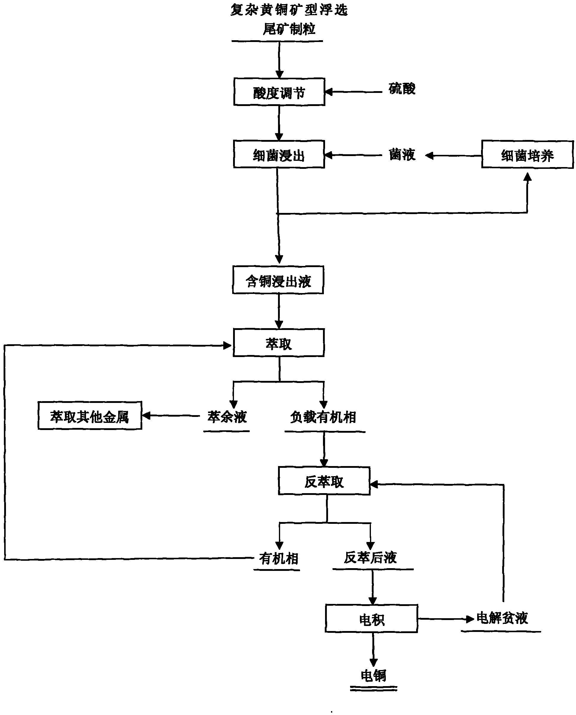 Bacterial leaching copper method of complex chalcopyrite flotation tailings