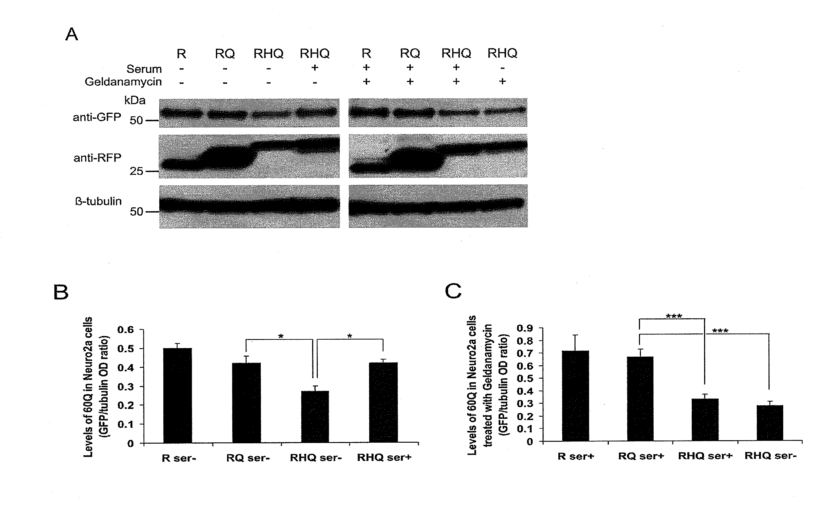 Method of degrading protein by chaperone-mediated autophagy