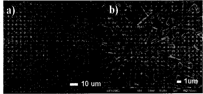 Face-type structural 3(8-hydroxyquinoline) aluminium nano and micro materials and preparation method thereof