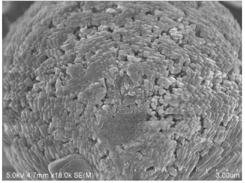 Activated calcium carbonate for increasing acid production rate of fermentation organic acid and preparation method of activated calcium carbonate