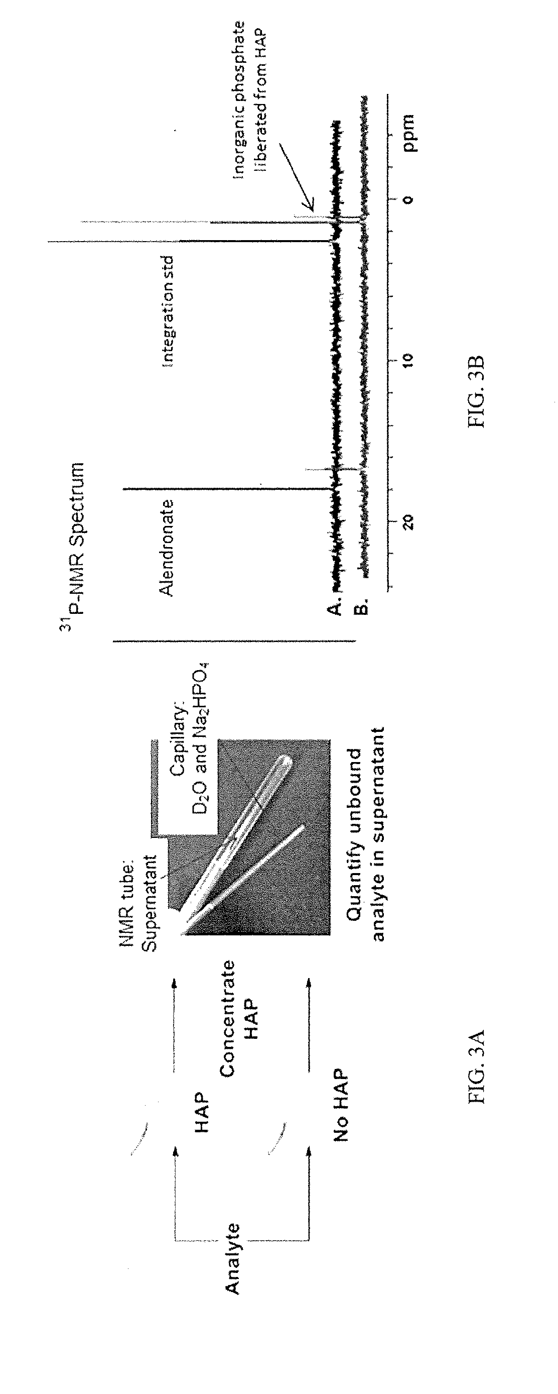 Bone-selective osteogenic oxysterol bisphosphonate analogs