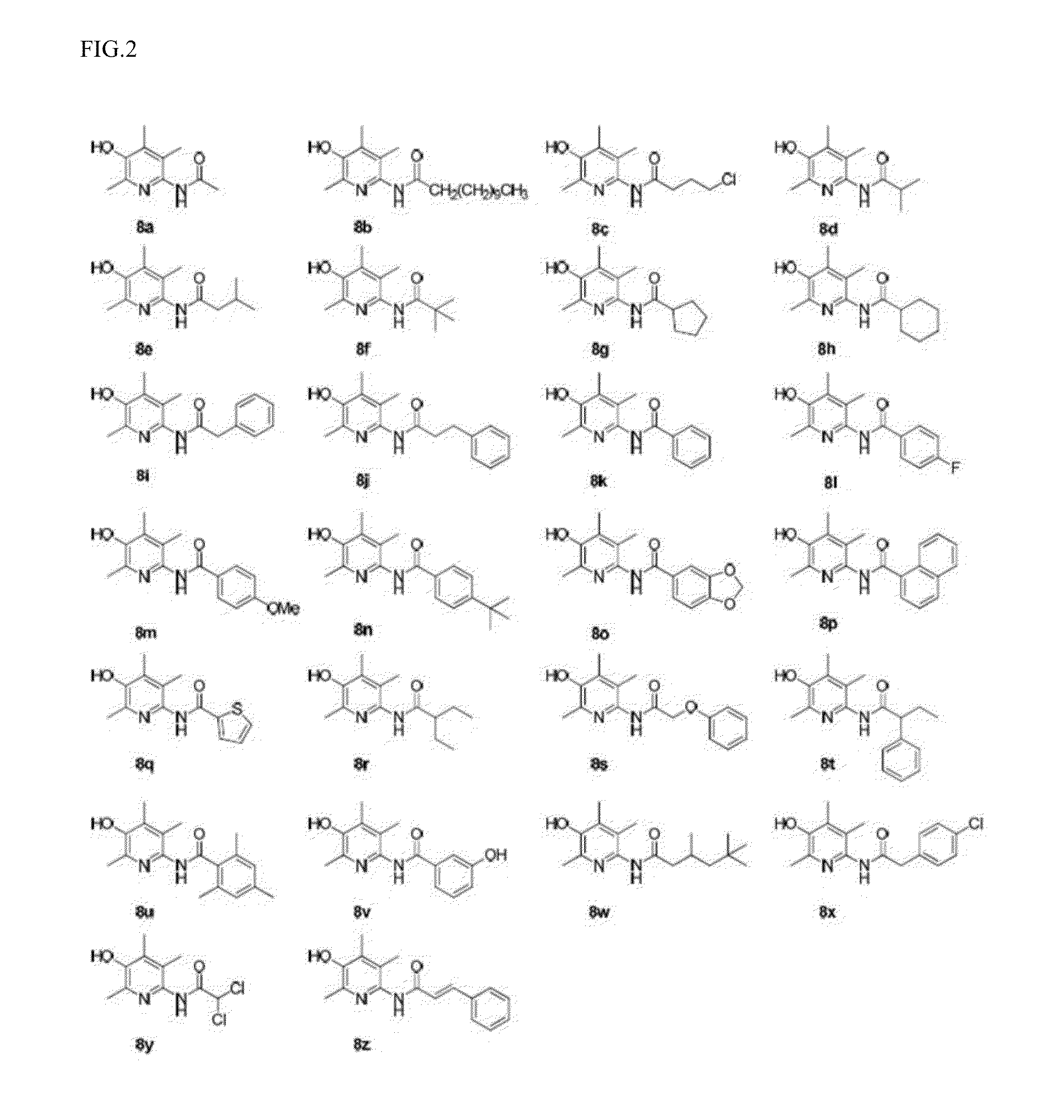 Amidopyridinol derivative or pharmaceutically acceptable salt thereof and pharmaceutical composition comprising same as active component