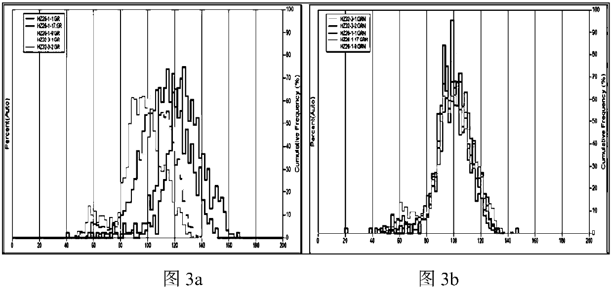 A method for establishing a depth domain construction model