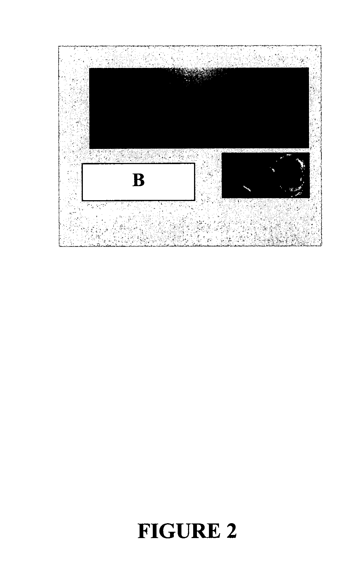 Multi-modality marking material and method