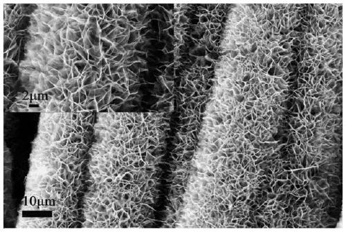 Preparation method of Ni-P/nickel phosphide-carbon cloth three-dimensional self-supporting hydrogen evolution electrode material