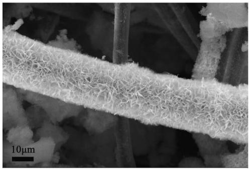 Preparation method of Ni-P/nickel phosphide-carbon cloth three-dimensional self-supporting hydrogen evolution electrode material