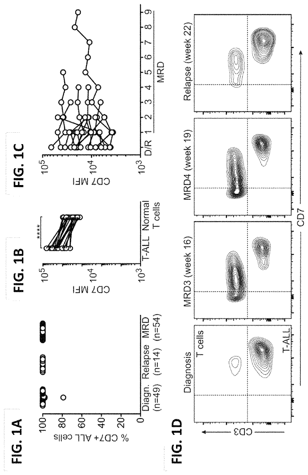 Blockade of CD7 expression and chimeric antigen receptors for immunotherapy of T-cell malignancies