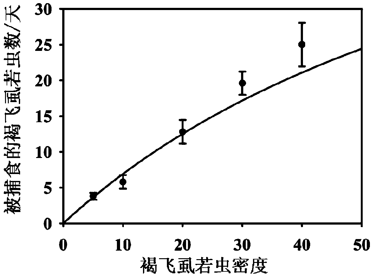 Evaluation method of safety of genetically modified insect resistant rice relative to predator hylyphantes graminicola