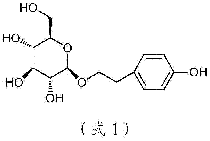 Catalytic synthesis method of salidroside