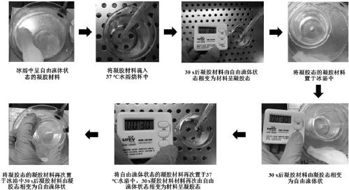 Preparation method of temperature-sensitive hydrogel precursor