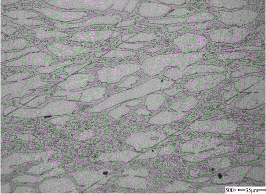 High-strength high-corrosion-resistance double-phase heat resistant steel