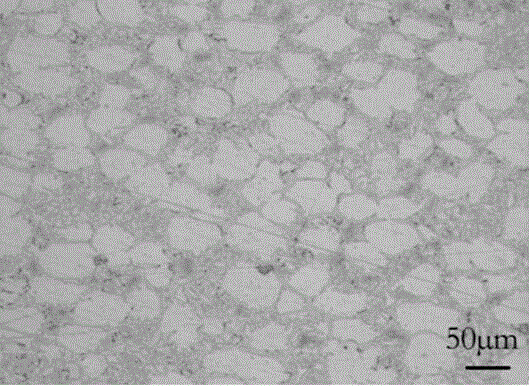 High-strength high-corrosion-resistance double-phase heat resistant steel