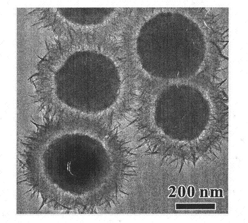 Preparation method of composite hollow silicate