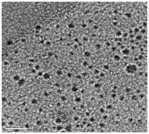 Carbon nitride loaded Pd-based catalyst as well as preparation method and application thereof