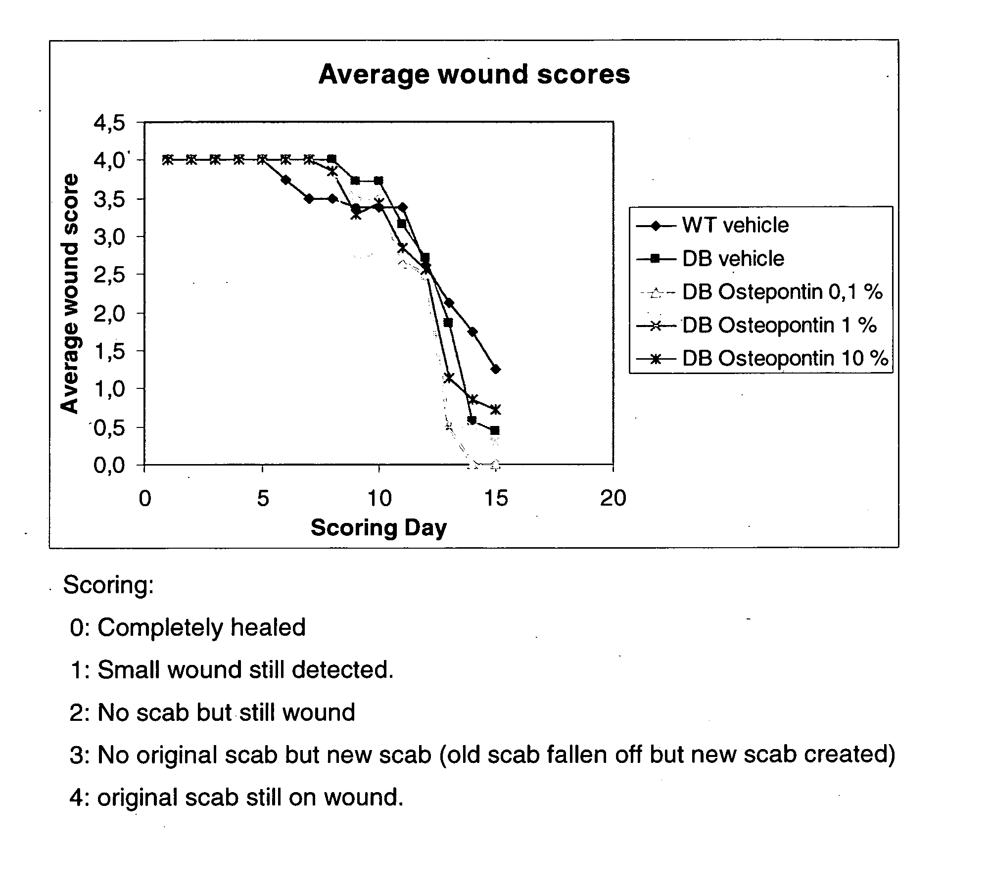 Bovine osteopontin formulations for the improvement of the wound healing process