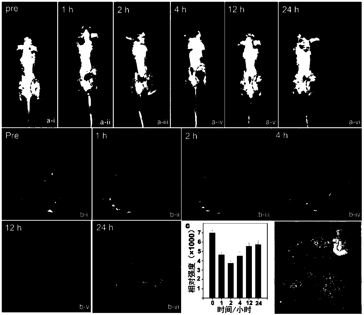 A method for laser synthesis of magnetic graphene-peg-γ-Fe2O3 composites