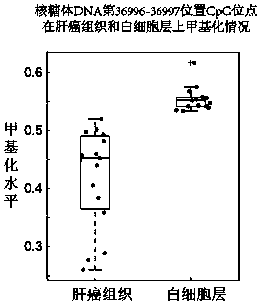 DNA methylation markers for diagnosing early liver cancer by using peripheral blood and application thereof