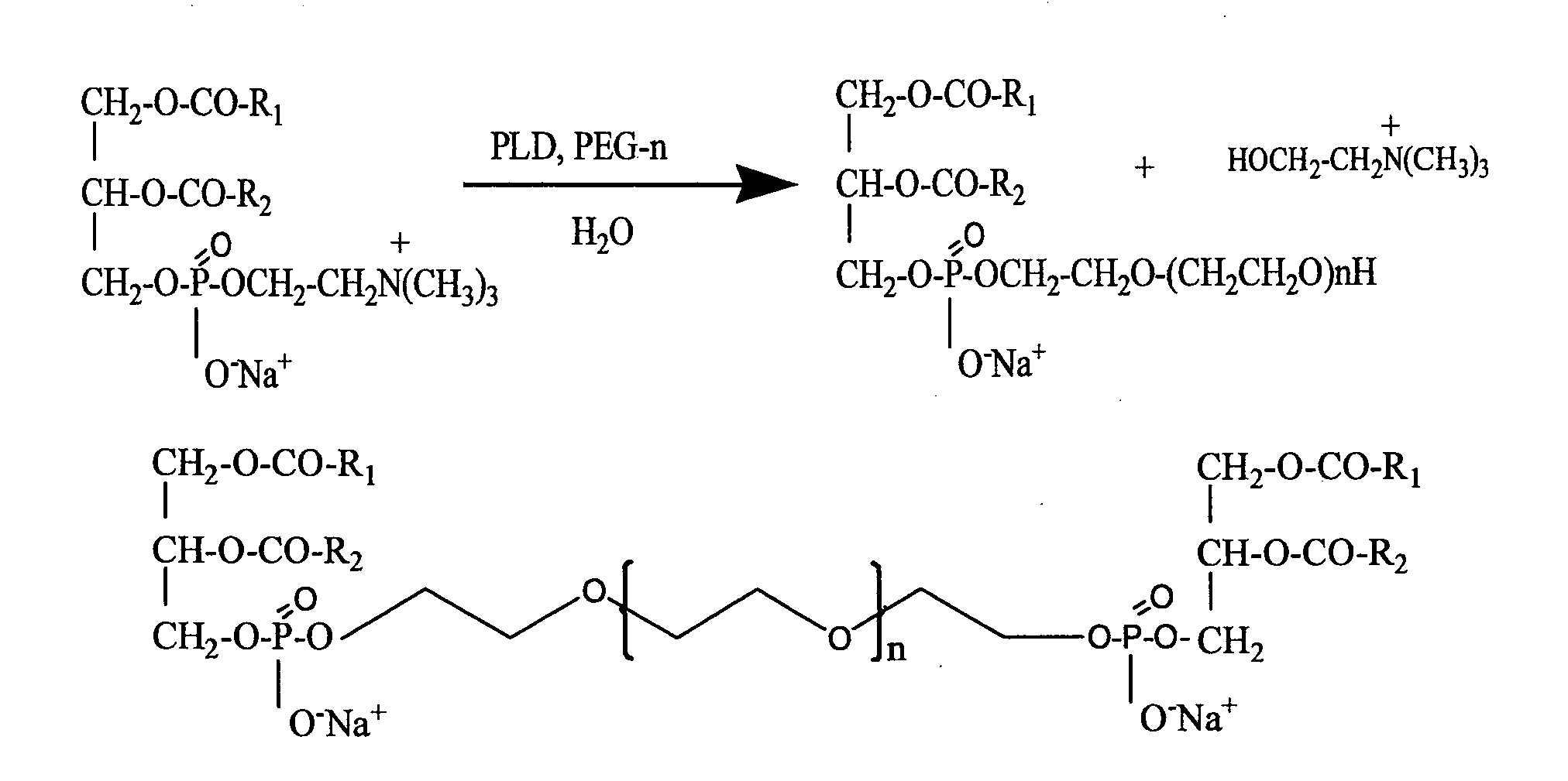 Preparation of Heavy Metal-Containing Nano-Liposomes and their Uses in Medical Therapy